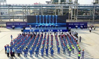 湖北南煉新材料公司精細化工項目正式投產