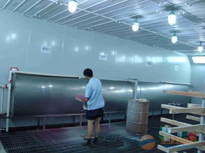 油漆噴漆廠廢氣處理中均四甲苯的達標性分析